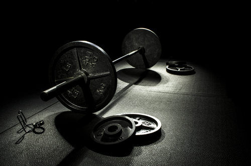 Dove scaricare le schede per la palestra