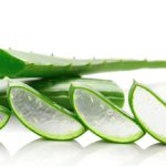 Quali sono le differenze tra l’Aloe Vera e l’Aloe Arborescens