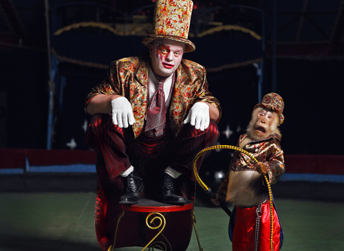 Capodanno al Circo a Roma